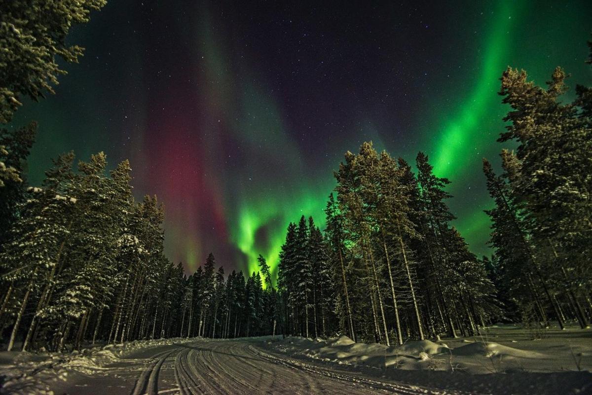 Sporthome Rovaniemi Ngoại thất bức ảnh